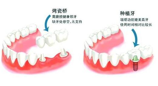 人口腔体积_人口腔上皮细胞图(3)