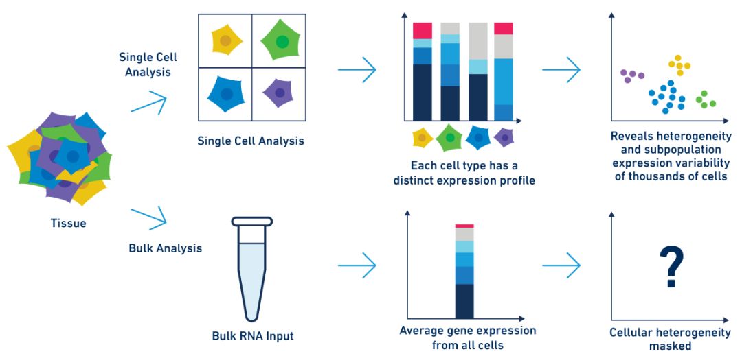2018 年 6 月 28 日,《cell》率先一步,一篇「单细胞测序研究复杂