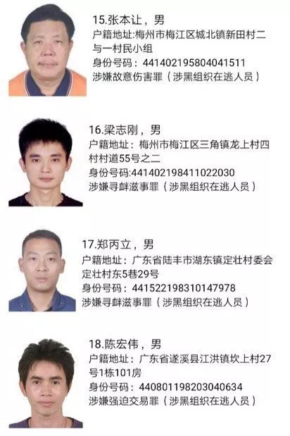 50名在逃黑恶势力犯罪嫌疑人