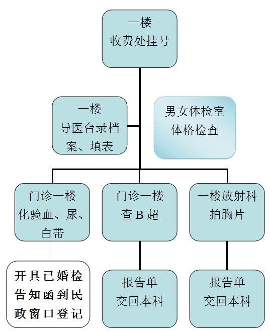 婚检gdp_婚检报告单图片