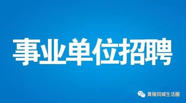 业务招聘网_古城今日信息商家推广系统 电子版彩页 火爆招商啦(3)