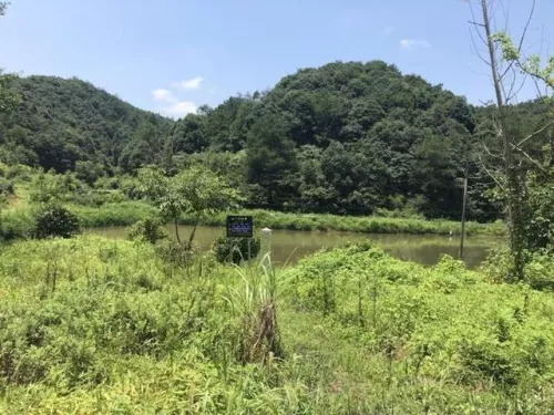 致富养殖泥鳅图片_致富经泥鳅养殖_致富养殖泥鳅怎么样