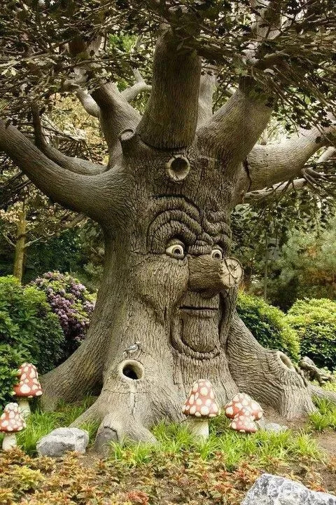 哈哈哈,这是童话里的树爷爷吗?