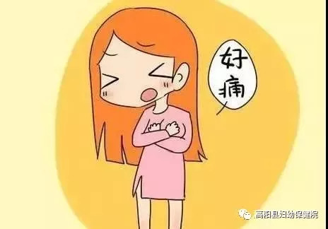 【高阳妇幼科普】产后乳腺炎让人痛到怀疑人生 究竟该如何化解?