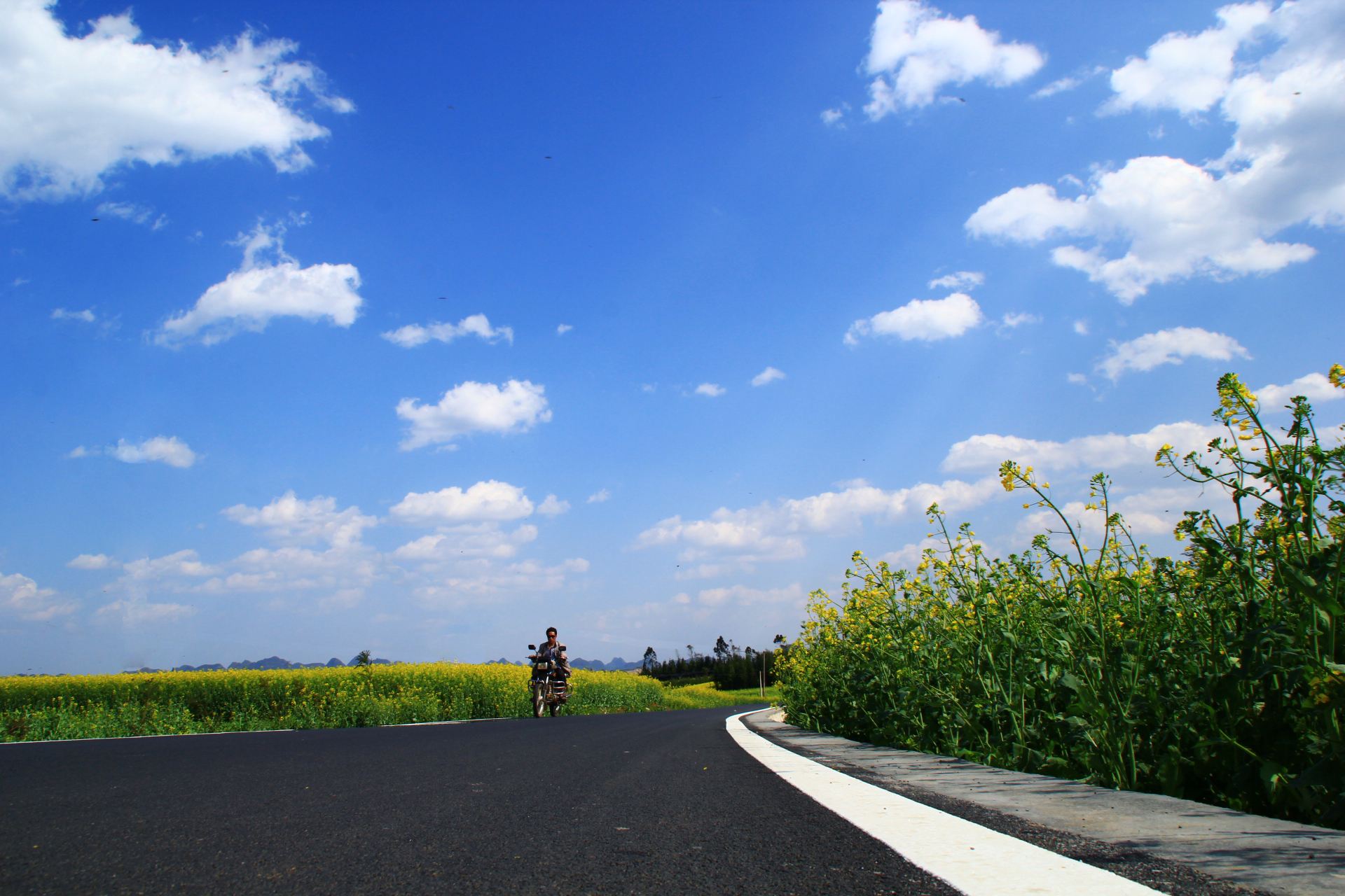 《致爱十四行――遥远的路程》