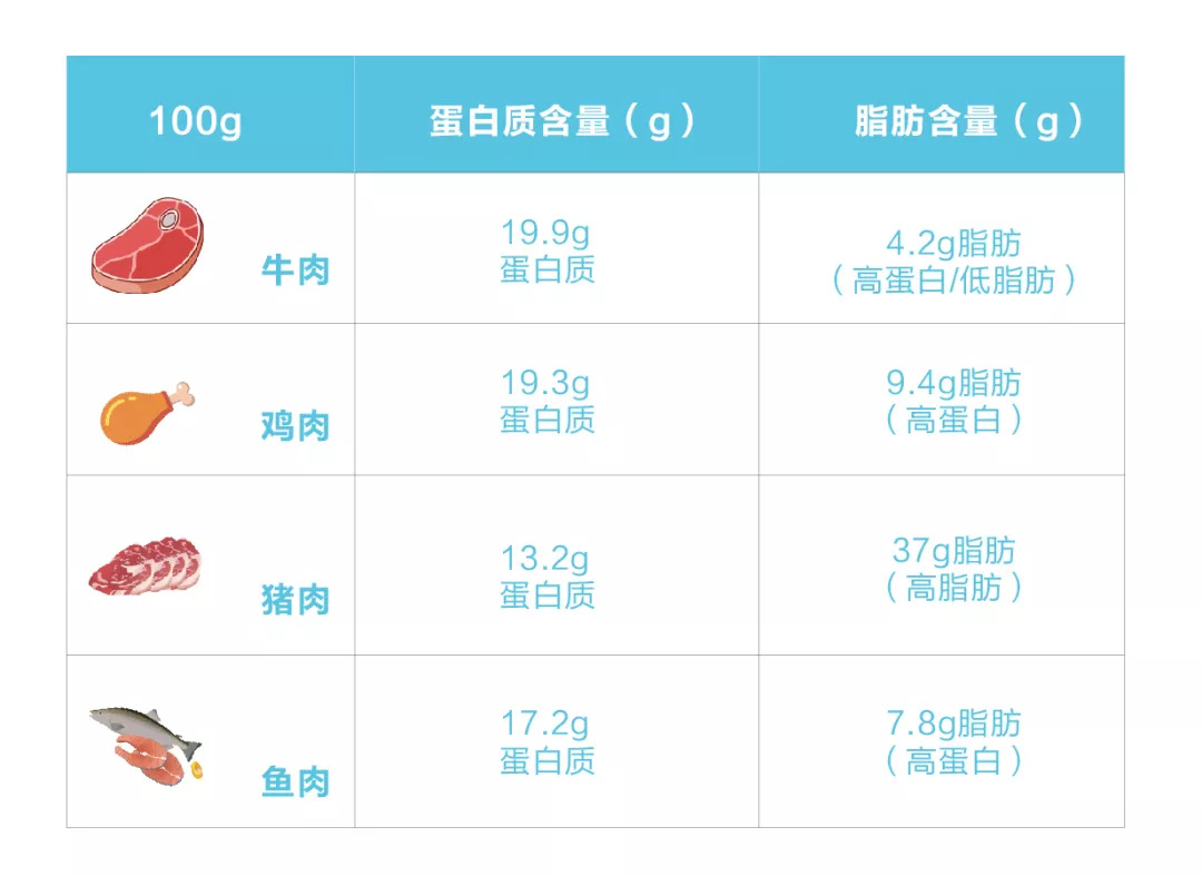 在不同肉类我们可以简单直观的比较一下蛋白质,脂肪含量