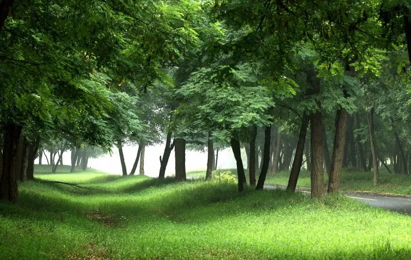 东营孤岛槐树林温泉旅游区顺利通过aaaa级旅游景区资源与景观质量评审