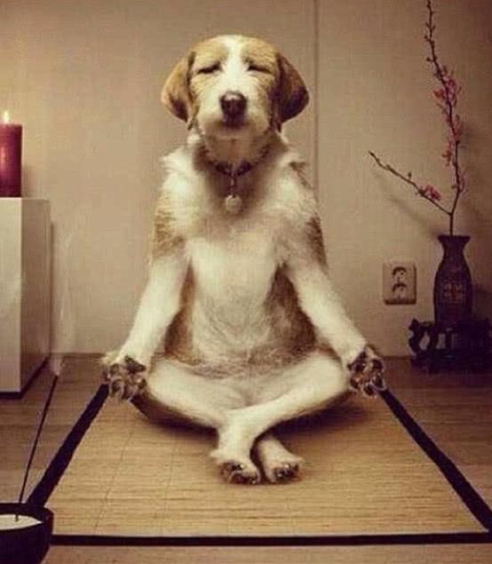 冥想,放松全身,为瑜伽做个热身先.