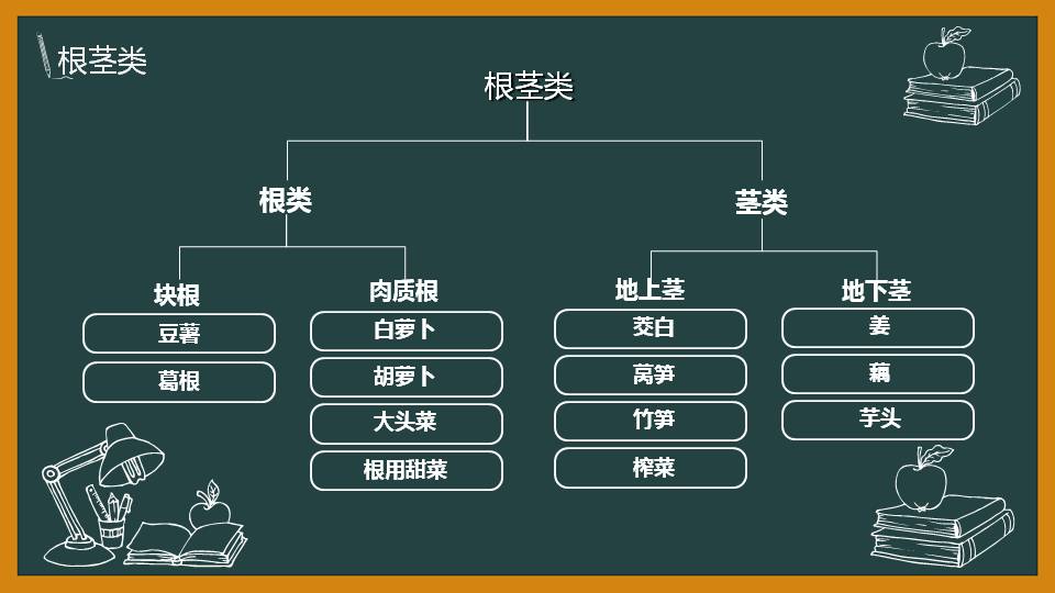 营养入门食物分类蔬菜和水果