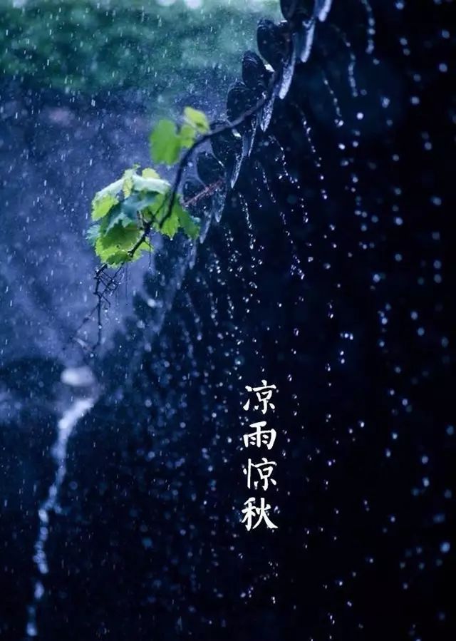 逢秋悲寂寥"也是它, 秋天有太多种面目, 秋,美在潇潇暮雨的迷蒙飘渺