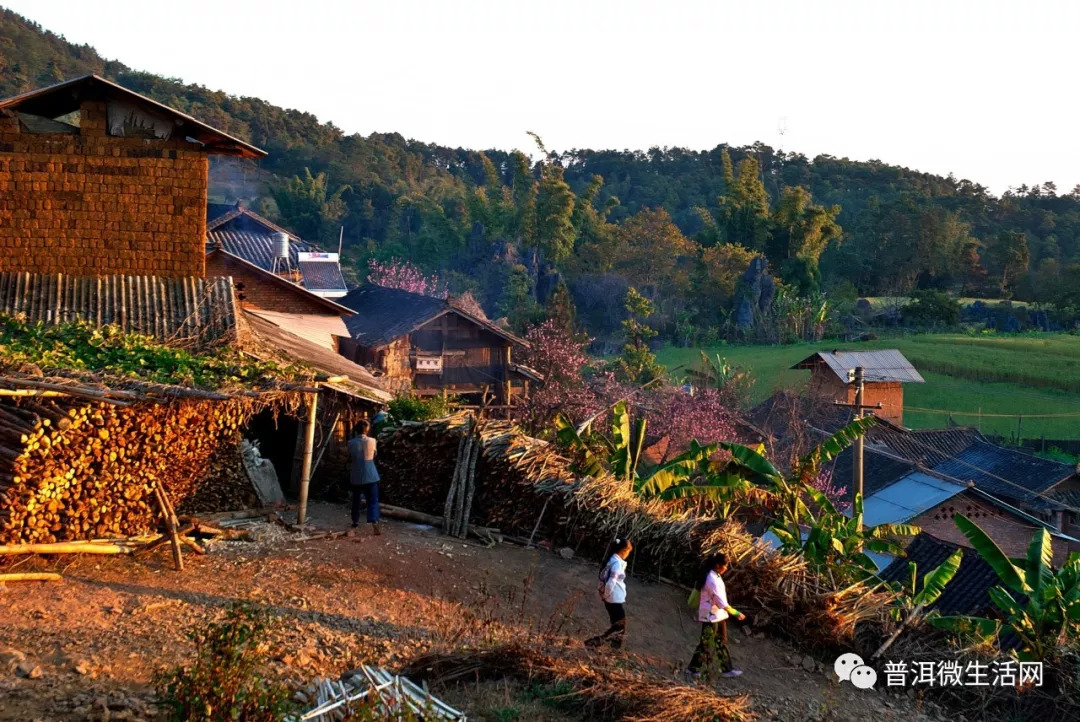 芦山县有多少人口_芦山县河流地图(2)