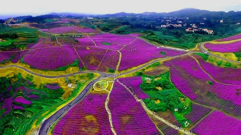 贵州省遵义市桐梓县GDP_遵义个区县市哪里最富哪里最穷 最后一名你一定想不到