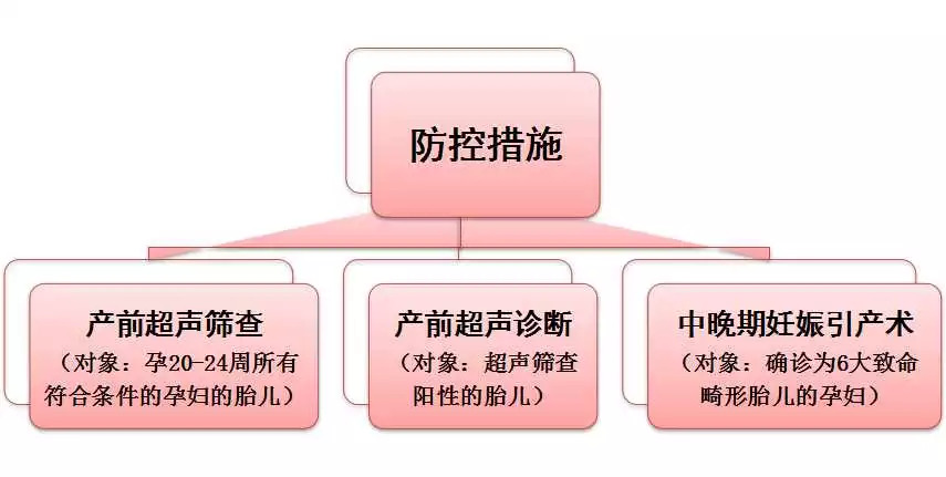 目前,能通过产前超声检查出的六大致命胎儿畸形,包括:无脑儿,严重脑