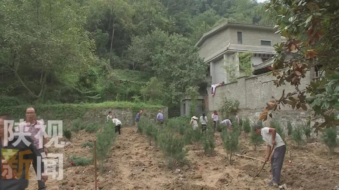 我省在拆除秦岭北麓违建别墅的同时,研究制定拆除点山水相融,符合