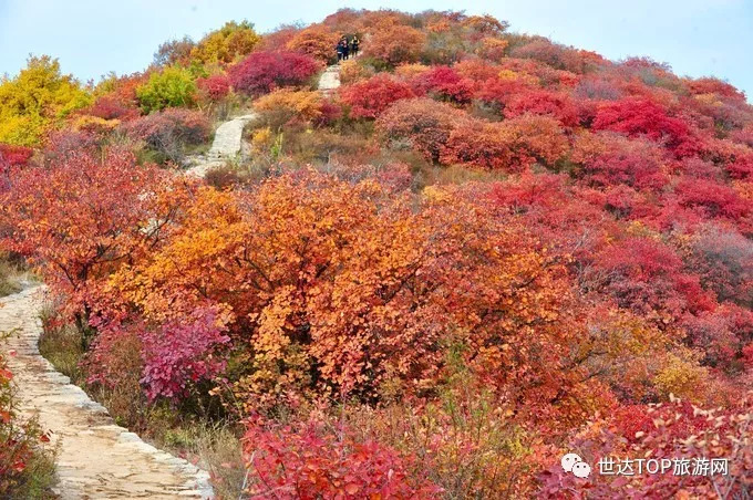 【达人户外】2018年第十期:四方山赏红叶