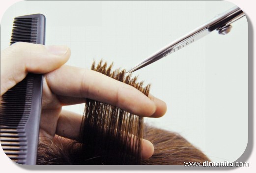 在干发的发梢打薄中,我们会采用平剪和头发呈平行状态将发尾剪成锯齿