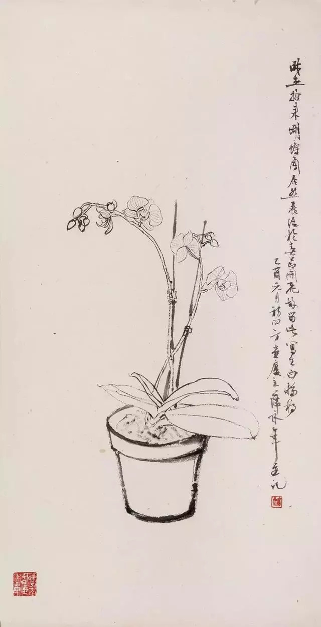 白描《蝴蝶兰》纸本水墨 77cm×41.5cm 2005年