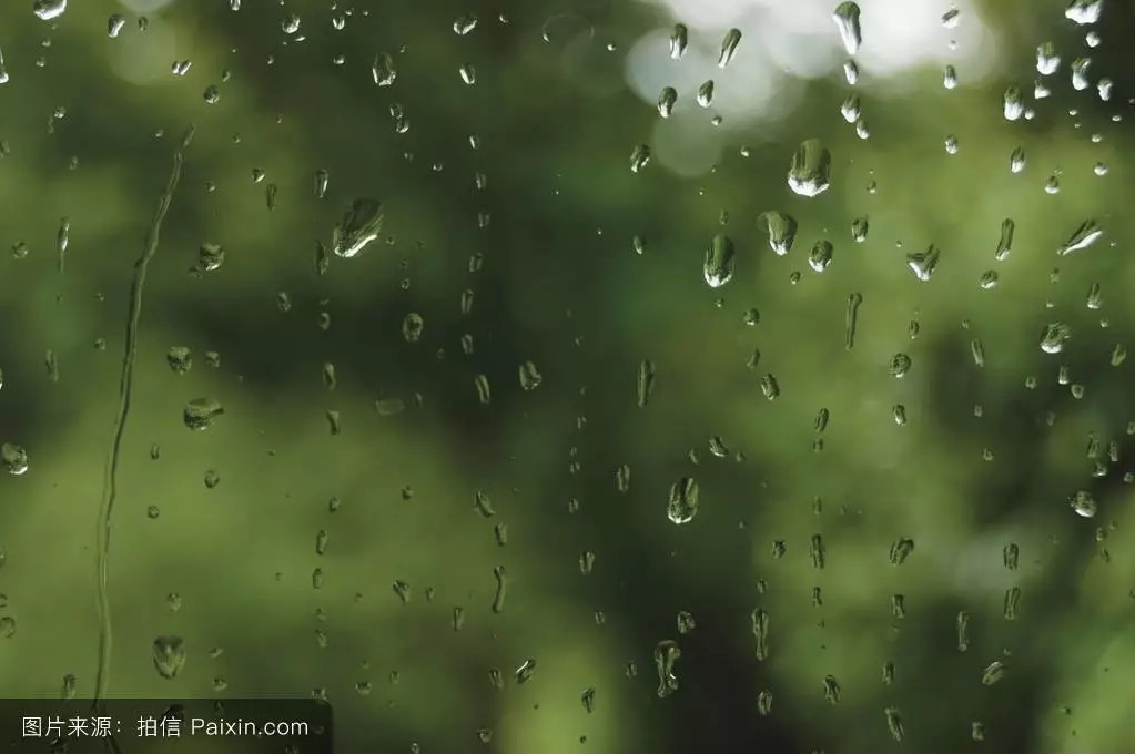 本周多雨，适宜出行与观赏