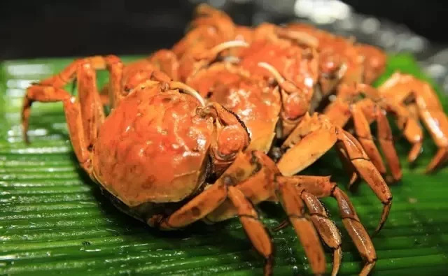 【养生】你真的会吃螃蟹？这四个部位万万不能吃！_图1-1