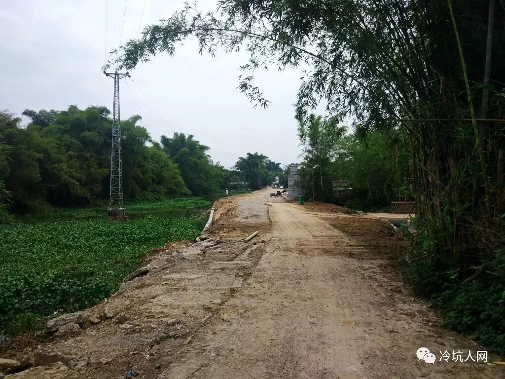 在新农村建设"振兴乡村"的浪潮中,怀集县冷坑镇楼边村大力发展乡村