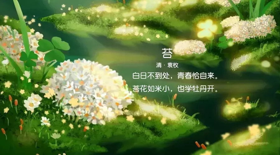 带回满足,愉悦的心情!5期花艺活动让苔花家庭收获了这些