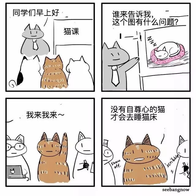 bang的四格漫画, 始终围绕猫,狗,人,死神几个元素, 时而暖心时而恶搞