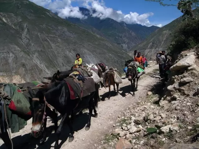 陶冶重庆让双脚去丈量茶马古道重走千古马帮路