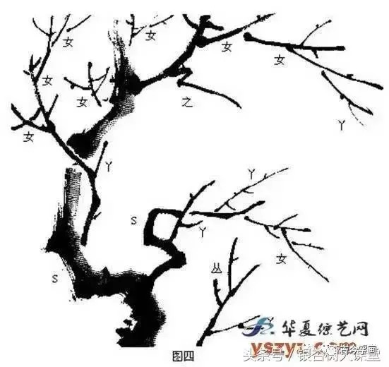 《芥子园》:梅花的画法