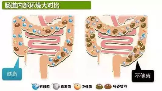 用"生姜敷肚脐",坚持一段时间后,身体悄悄发生这4个变化