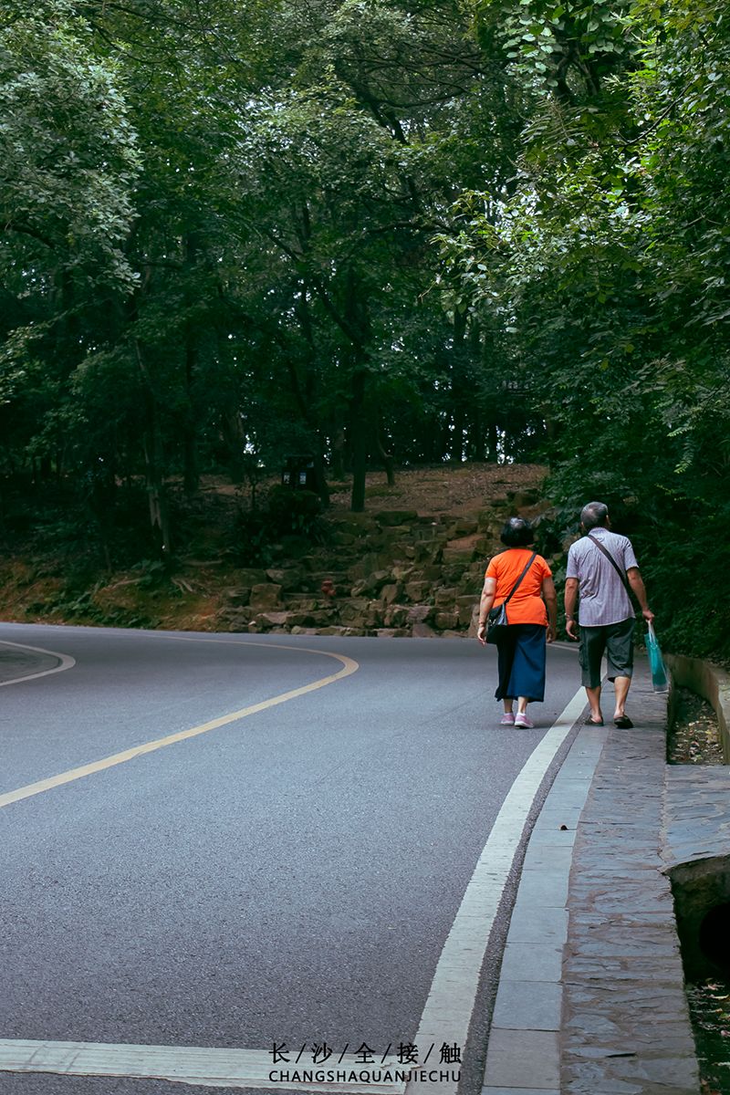 岳麓山景区人口稠密_岳麓山景区地图