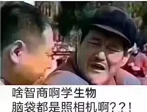 有哪些好玩的专业表情包点进来就是了