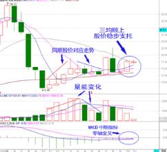 犹太人口极少_小犹太周慧敏图片