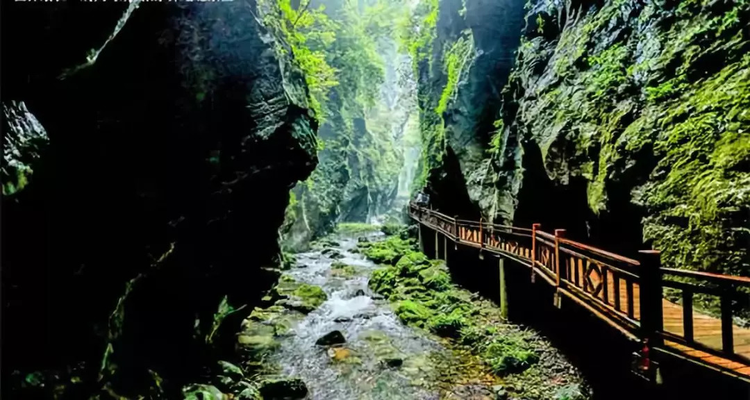 朝阳地缝景区地处慈利县朝阳境内,是世界上最长的"一线天"奇观,全长5