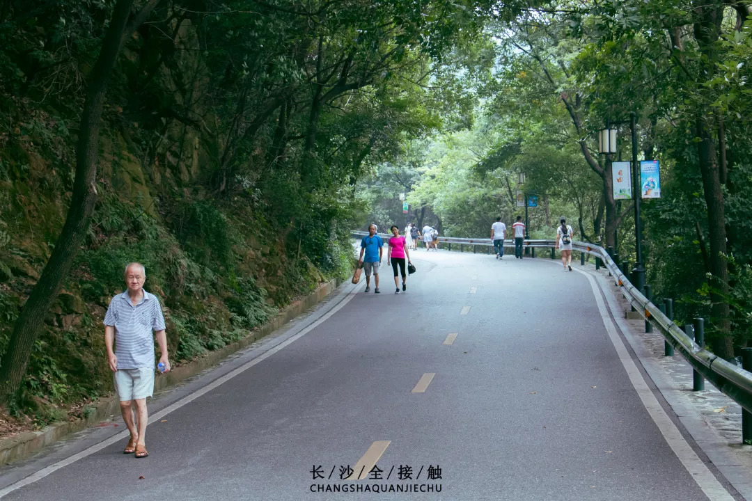 岳麓山景区人口稠密_岳麓山景区地图