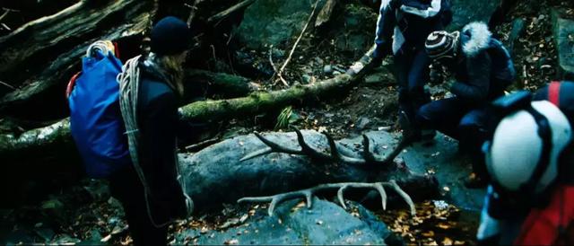 进洞之前,她们还发现了一具死状怪异的雄鹿尸体.