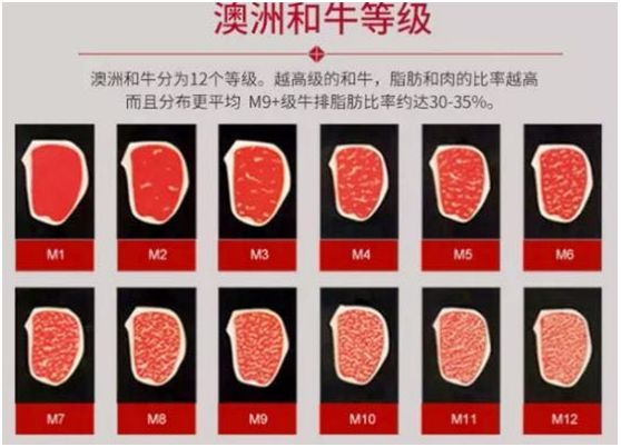 每天都有大量肉食动物到昆明废旧工厂里狂啃50cm高的火焰战斧牛排