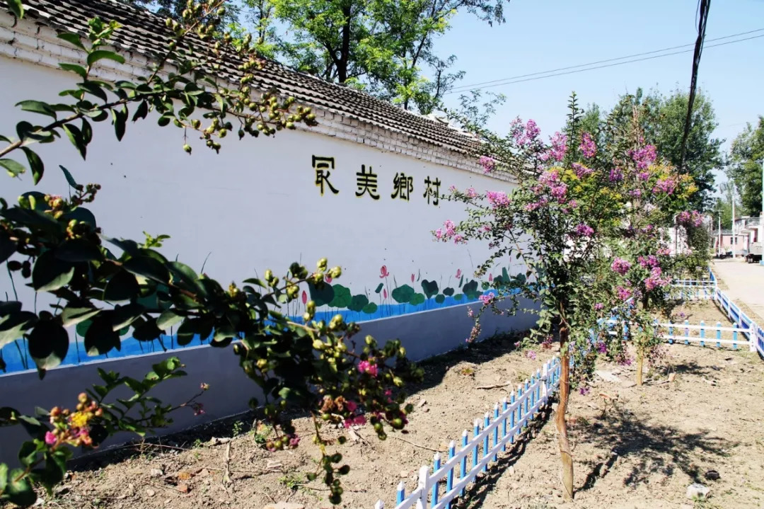 临泉韦寨镇将举办大型冬枣节!300亩冬枣园.