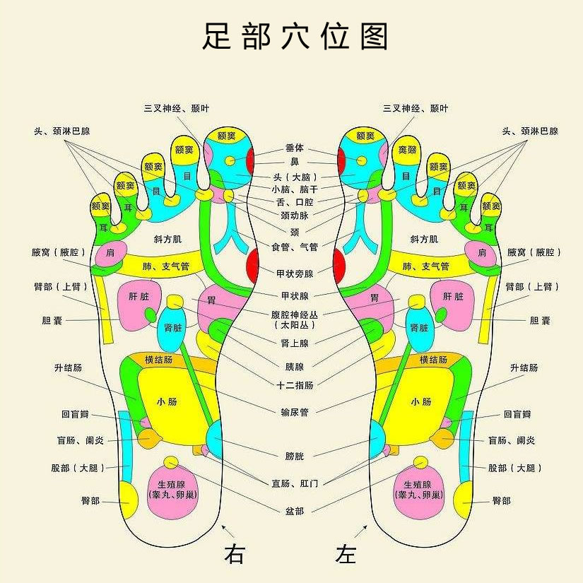 足贴的原理是什么_足贴原理是什么   足贴其实就是能够贴于脚底的产品,它能够根据脚底的相关(2)