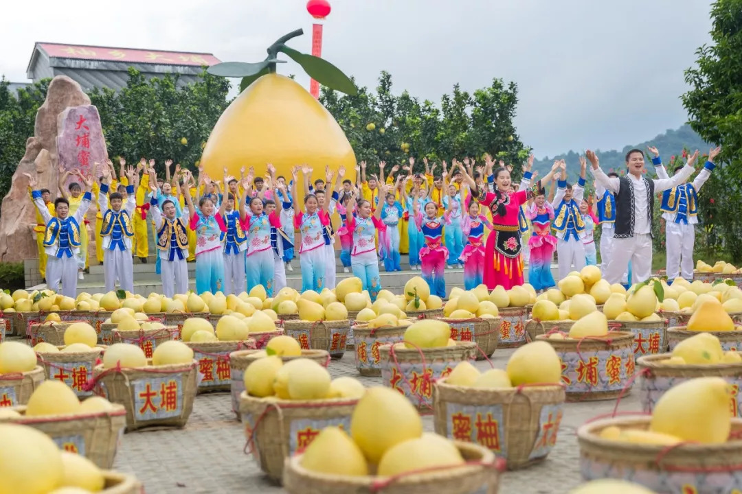 【聚焦】视频花絮抢先看!"中国农民丰收节"大埔县分会场完成所有拍摄