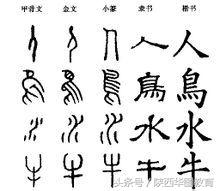 古代中国的文字有哪些?和现代的事业单位又有什么关系?