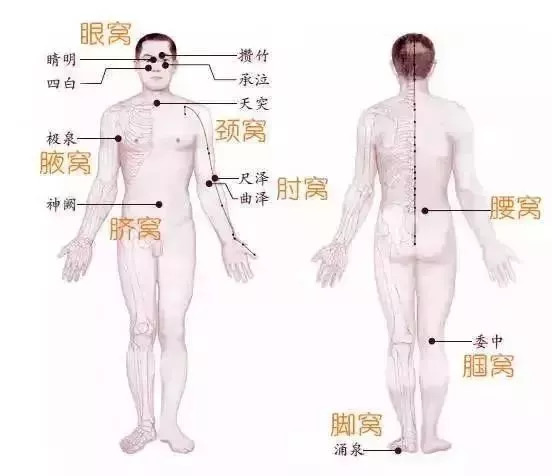 每个人身上都有8个"养生窝",哪儿不舒服按哪里!