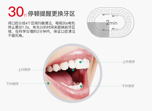 人口中有多少牙齿_外貌年龄计算器 显老OR装嫩一测便知(3)