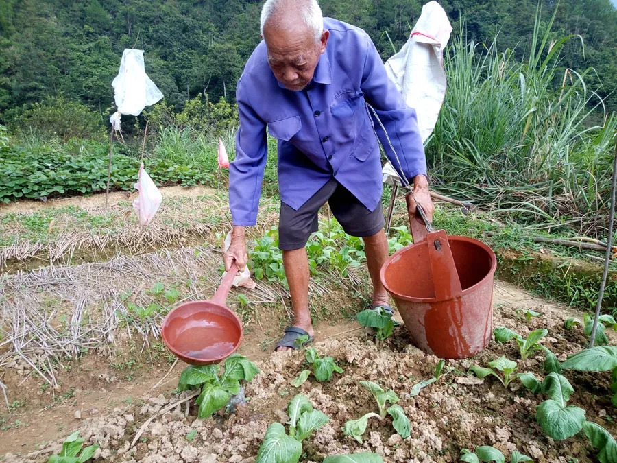 【视频】信宜洪冠110岁老人爬山,种菜,养鱼,做饭样样都行