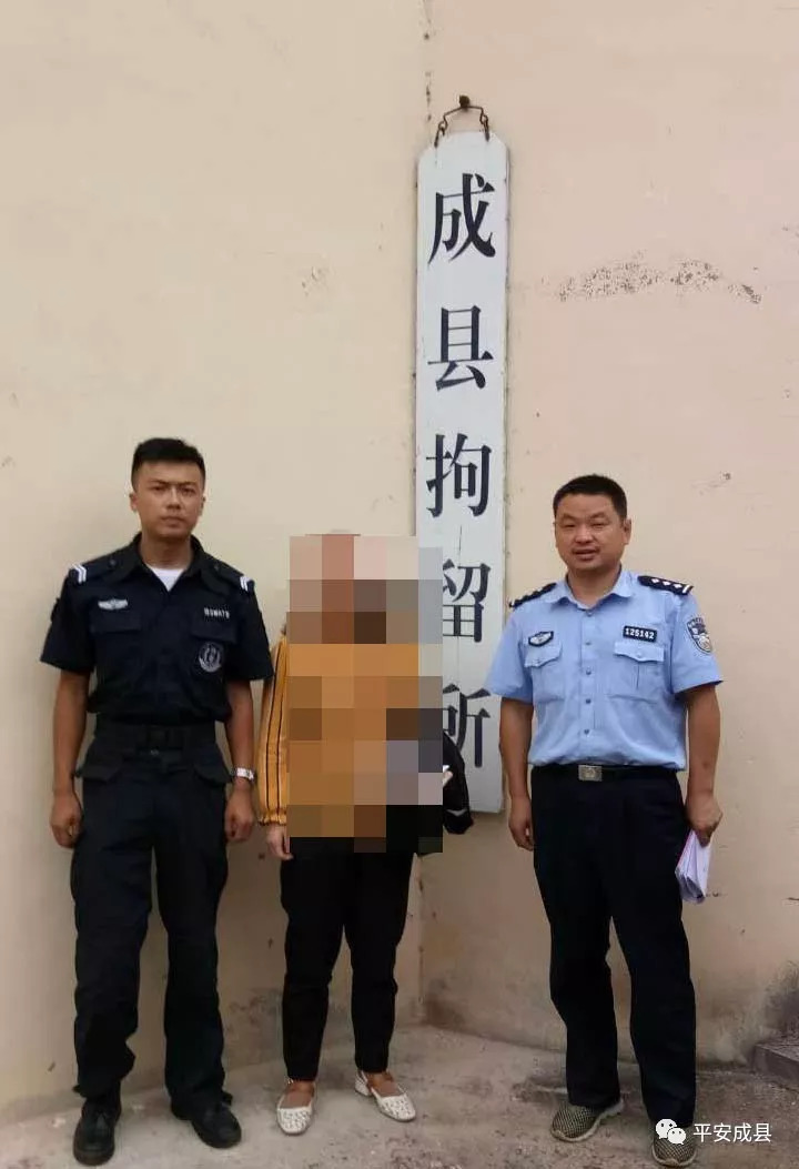 近期,成县宋坪辱骂,殴打村干部,2人被拘留.