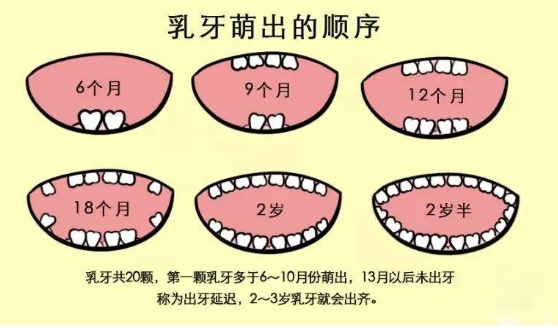 乳牙拔掉后不长怎么办