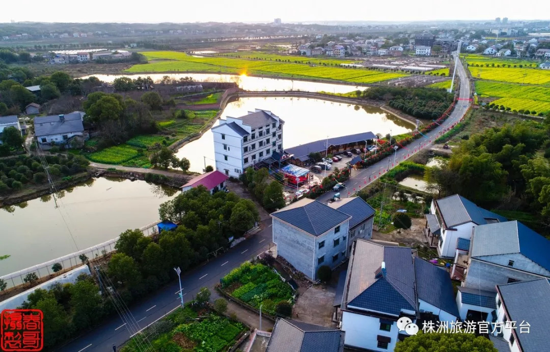 黄上峰局长指导株洲县全域旅游编制规划工作