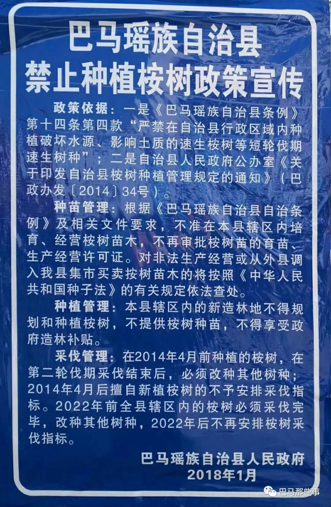 所有巴马人民群众!巴马县禁止种植桉树政策来了!