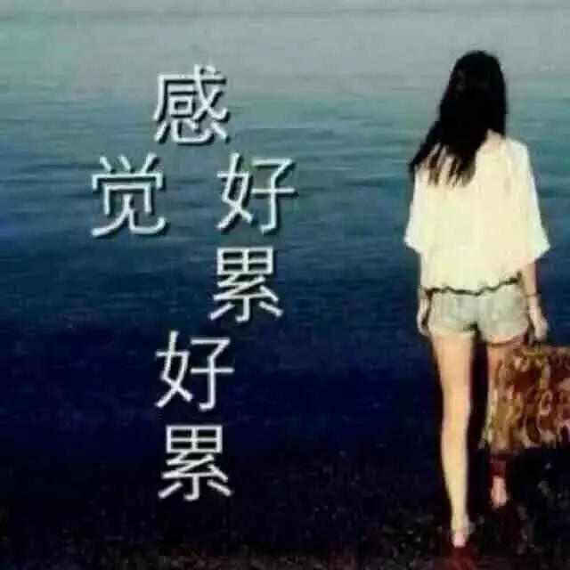 身累有人知心累无人懂