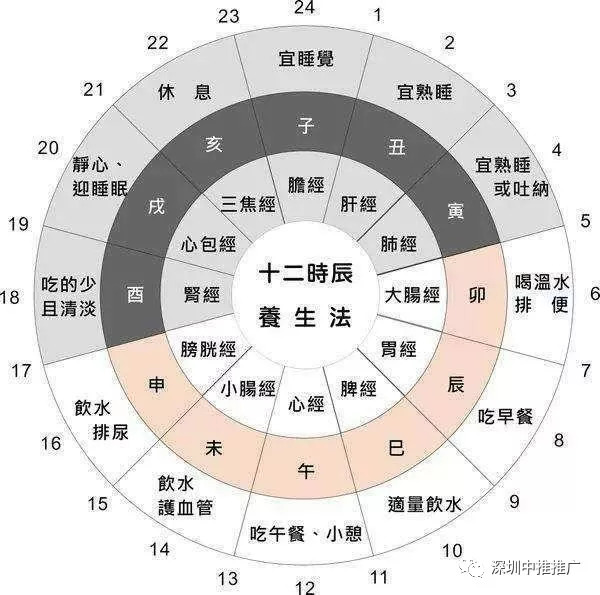 十二经络与十二时辰养生_五脏