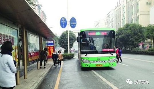 205路环湖旅游公交来了 遂宁首条旅游公交专线